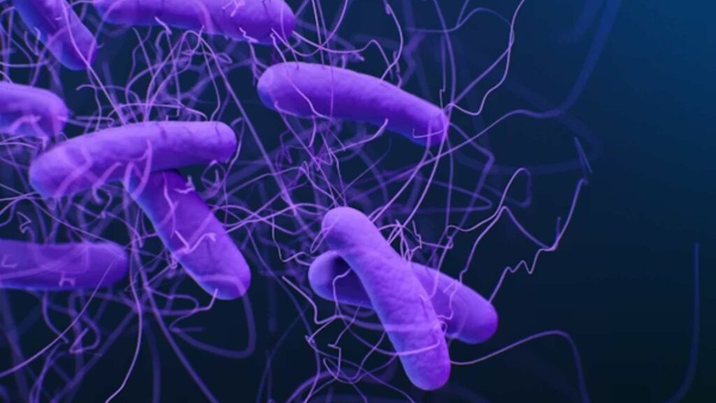 OMS advierte que contaminación alimentaria causa 1.5 millones de muertes globales cada año