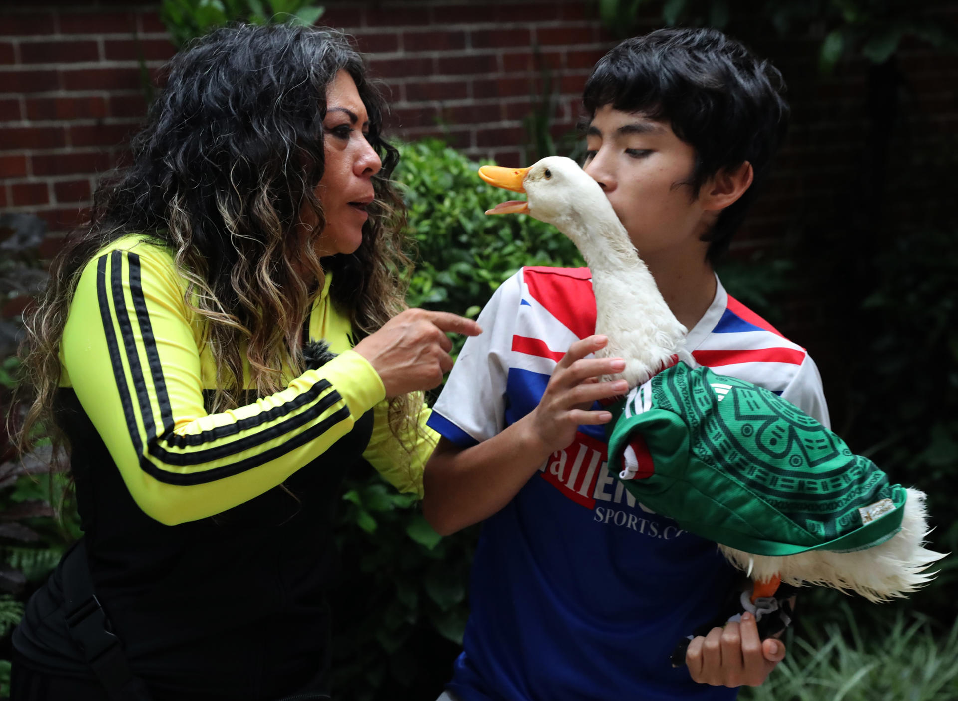 El pato Merlín, la sensación con alas que salva un Mundial y a su familia