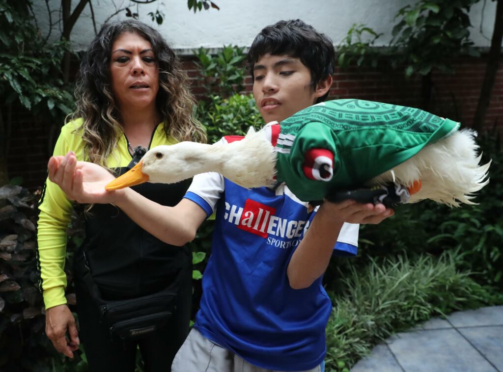 ¿Puede el pato ‘Merlin’ entrar al México vs Chequia del Mundial 2026?