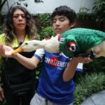 ¿Puede el pato ‘Merlin’ entrar al México vs Chequia del Mundial 2026?
