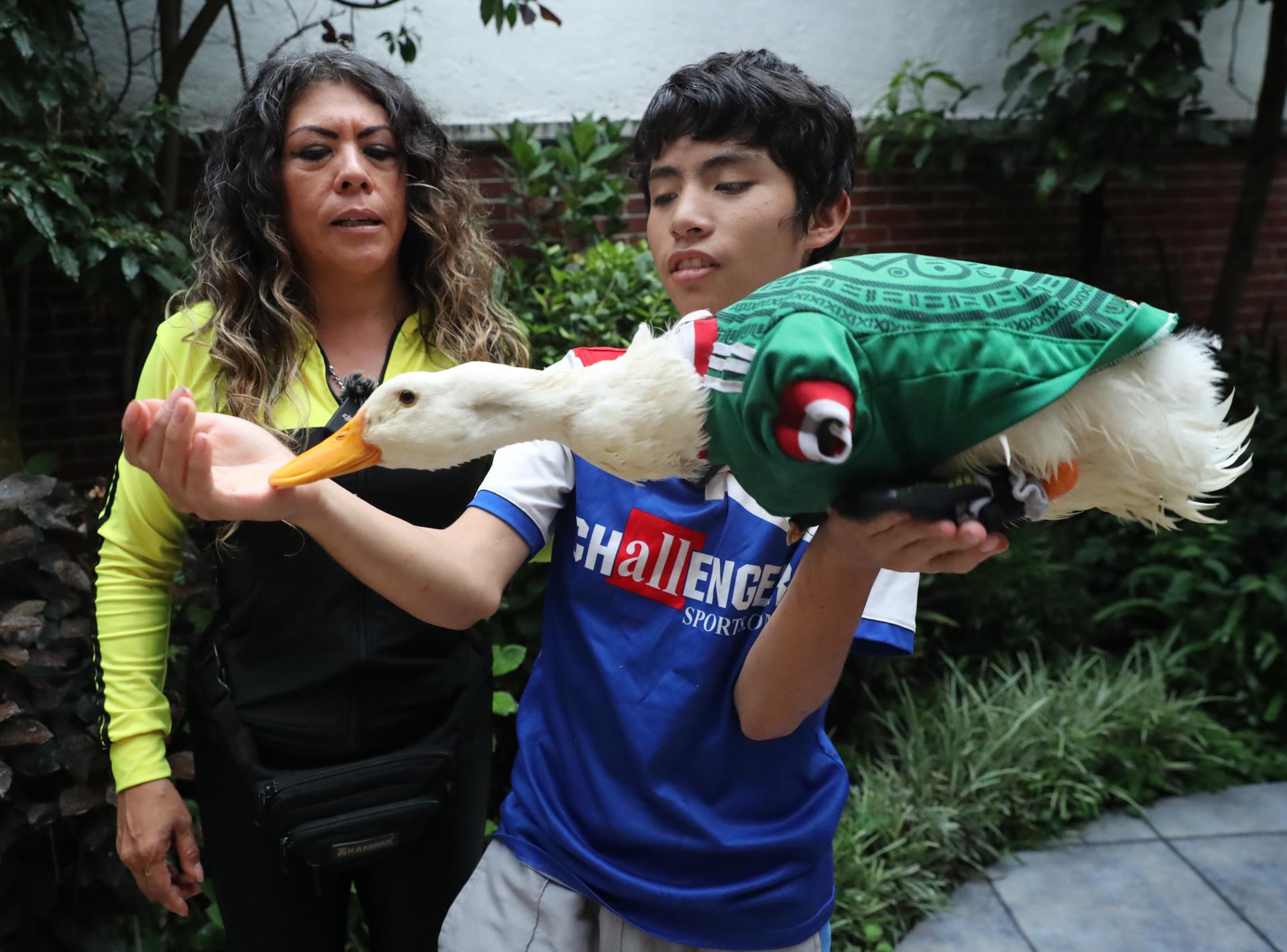¿Puede el pato ‘Merlin’ entrar al México vs Chequia del Mundial 2026?