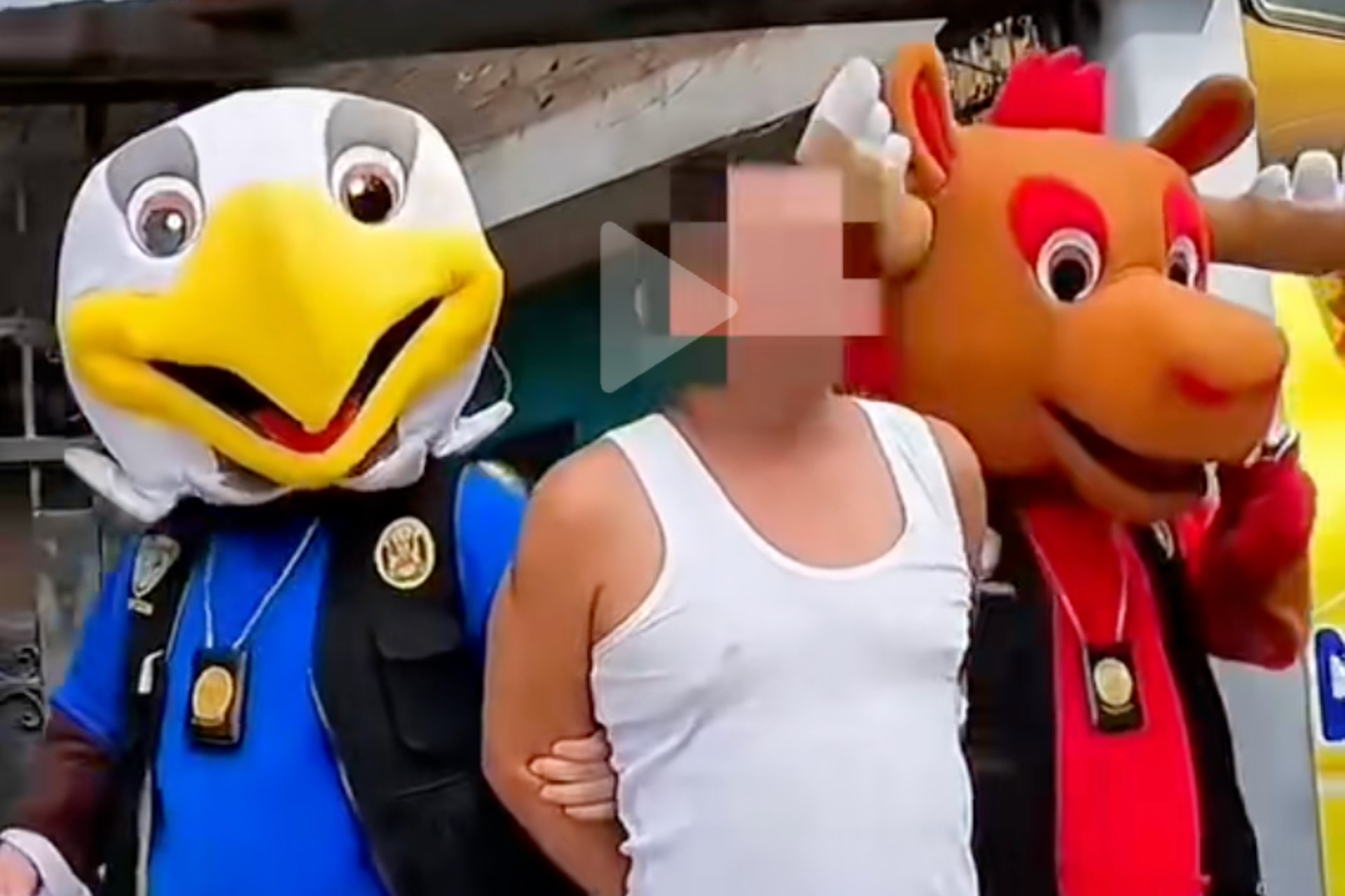 Video: Policías de Perú se disfrazan de mascotas del Mundial para detener a un narcotraficante Video: Policías de Perú se disfrazan de mascotas del Mundial para detener a un narcotraficante