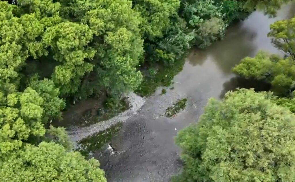 Lluvias en NL: hallan muerta a mujer arrastrada por la corriente del río La Silla