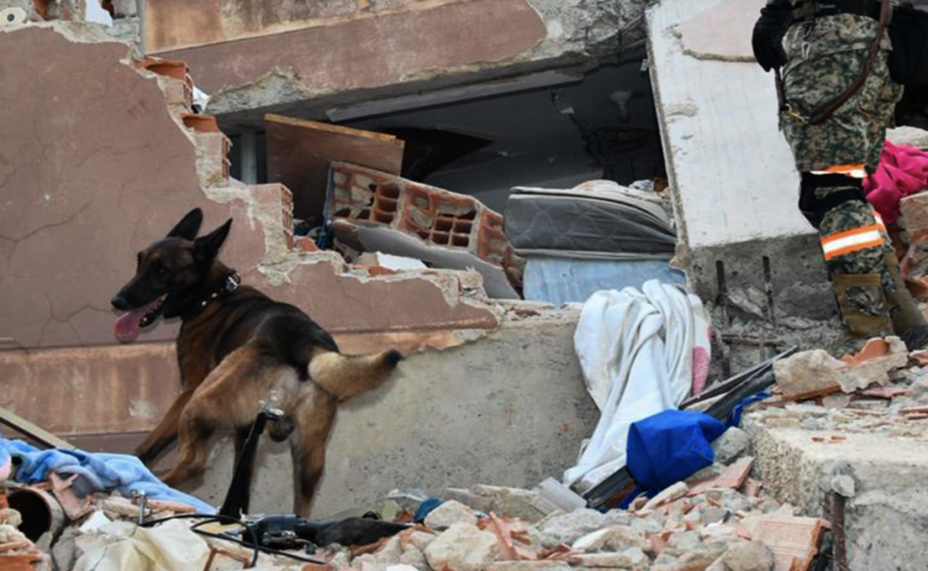 México despliega 261 efectivos y equipos especializados para apoyar a Venezuela tras los terremotos - sedena-1-1024x631