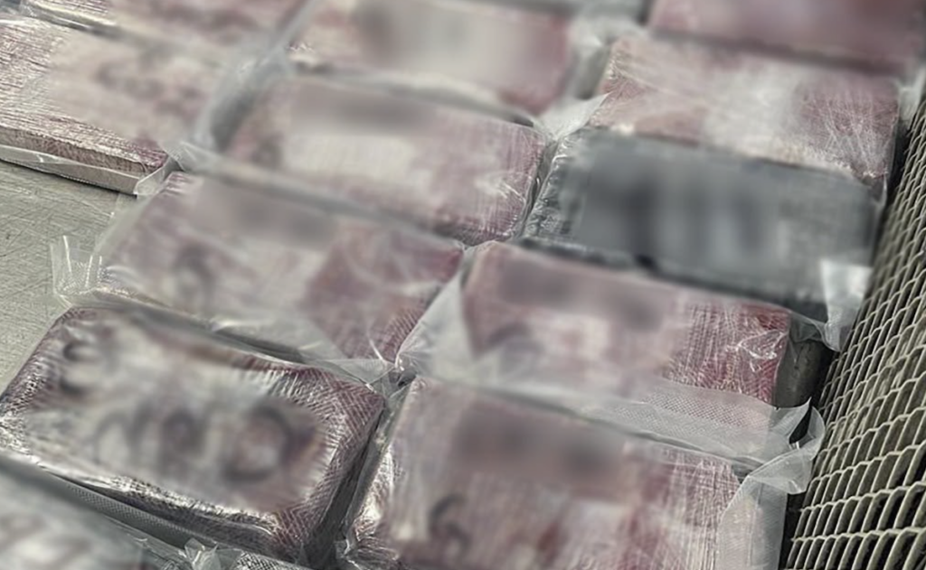 Aseguran 165 kilos de cocaína ocultos en mochilas y detienen a 11 pasajeros en Tijuana - aseguran-165-kilos-de-cocaina-ocultos-en-mochilas-y-detienen-a-11-pasajeros-en-tijuana-1024x631