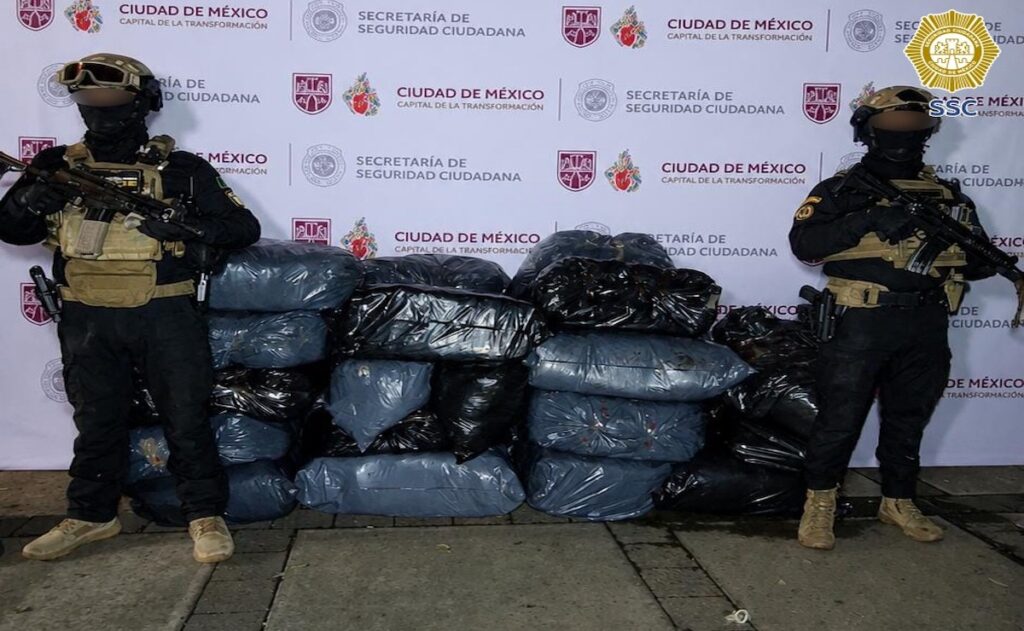 Aseguran media tonelada de aparente marihuana durante cateo en la GAM