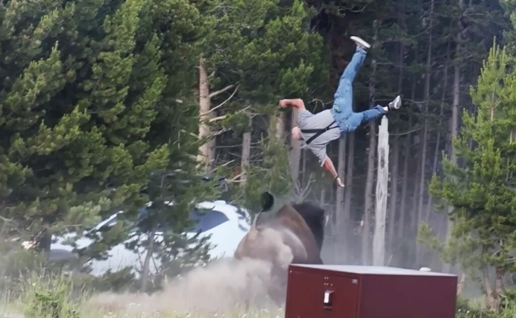 Víctima de bisonte en Yellowstone narra su embestida; “el problema fue el aterrizaje”, dice Víctima de bisonte en Yellowstone narra su embestida; “el problema fue el aterrizaje”, dice
