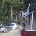 Víctima de bisonte en Yellowstone narra su embestida; “el problema fue el aterrizaje”, dice