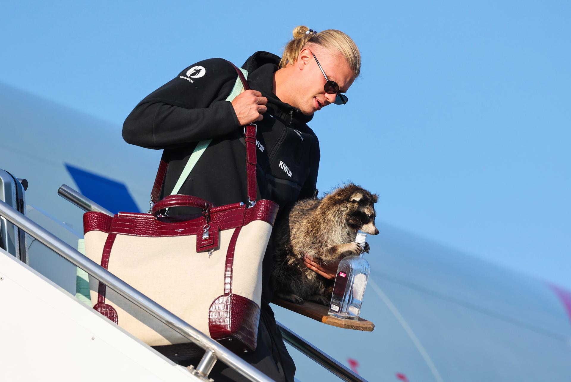 Video: Erling Haaland llega a Noruega acompañado de un mapache