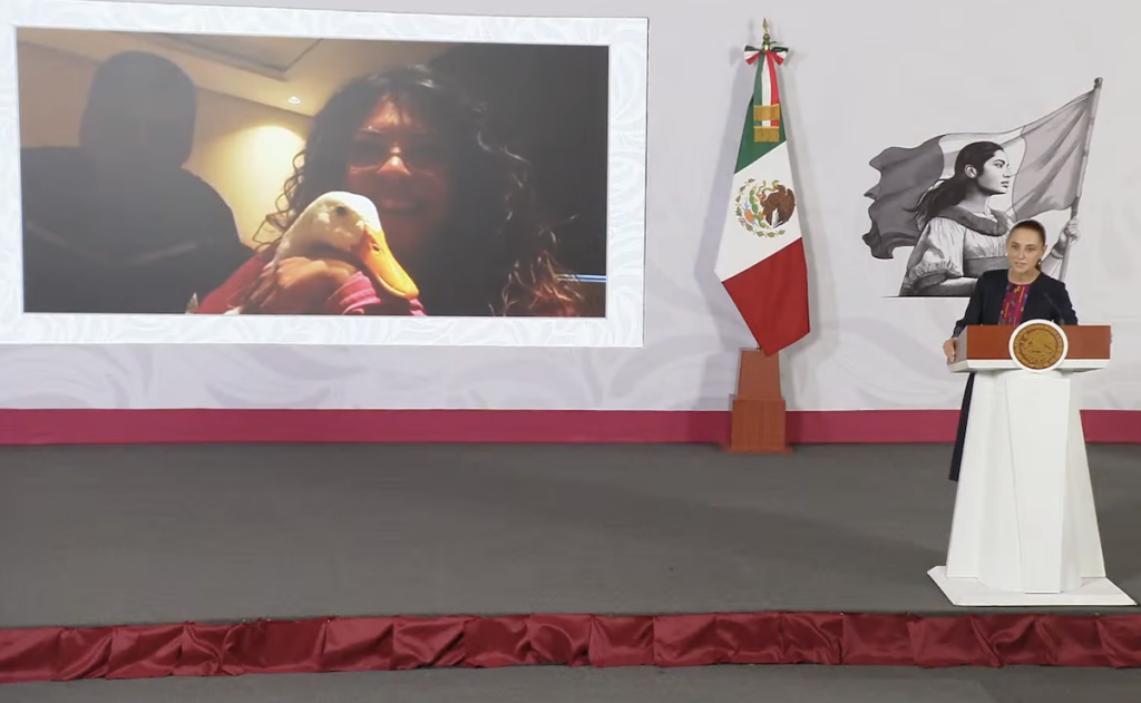 Familia del Pato ‘Merlín’ recibe vivienda del INVI tras vivir en un local de la CDMX