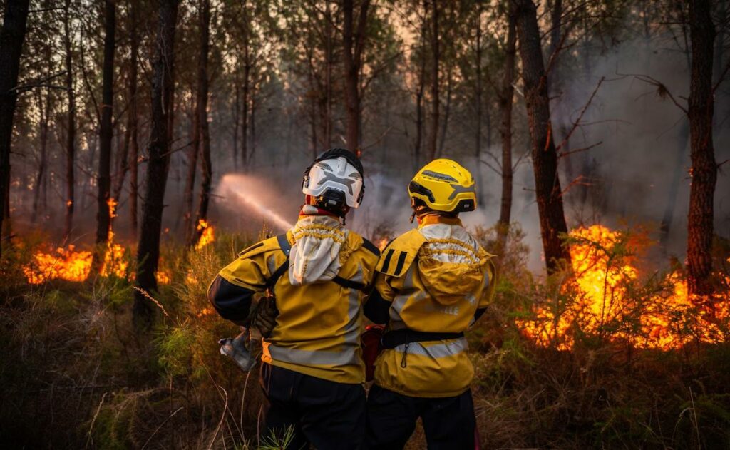 Incendio en Francia deja pérdidas millonarias y desploma el turismo en Gironda
