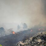 Incendio al sureste de España deja 12 muertos y 23 desaparecidos