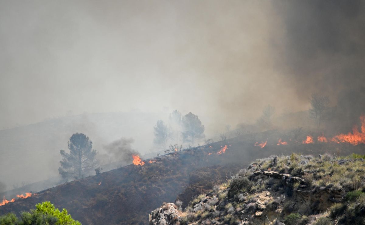 Incendio al sureste de España deja 12 muertos y 23 desaparecidos Incendio al sureste de España deja 12 muertos y 23 desaparecidos