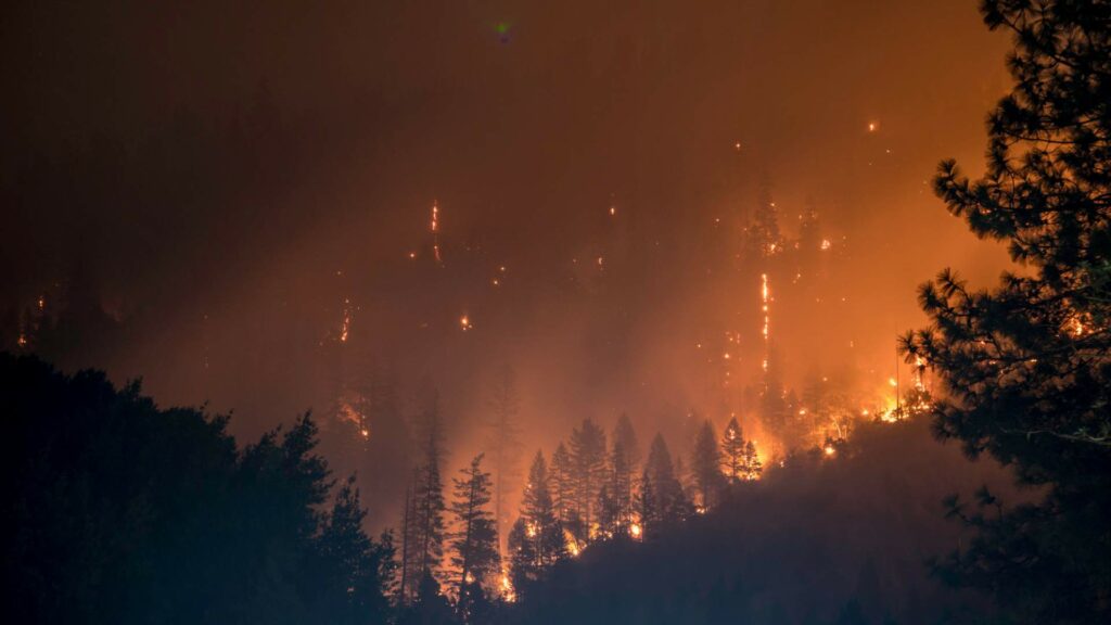 México despliega en Canadá más de 100 efectivos para ayudar en lucha contra los incendios