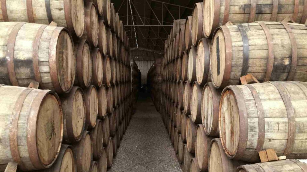 México produce 302 millones de litros de tequila y busca nuevos mercados en otros países - mexico-produce-302-millones-de-litros-de-tequila-y-busca-nuevos-mercados-en-otros-paises-1-1024x576