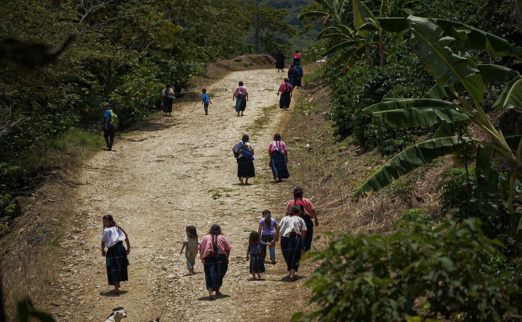 Pueblos indígenas de Chiapas denuncian persecución por defender sus territorios