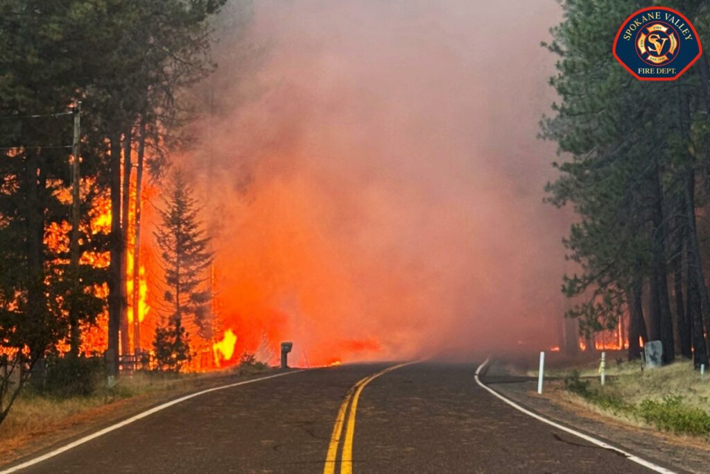 EE.UU. declara la emergencia para lidiar con los incendios sin control en el noroeste