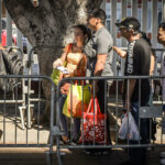 La frontera digital entre México y EEUU pone en peligro los derechos humanos