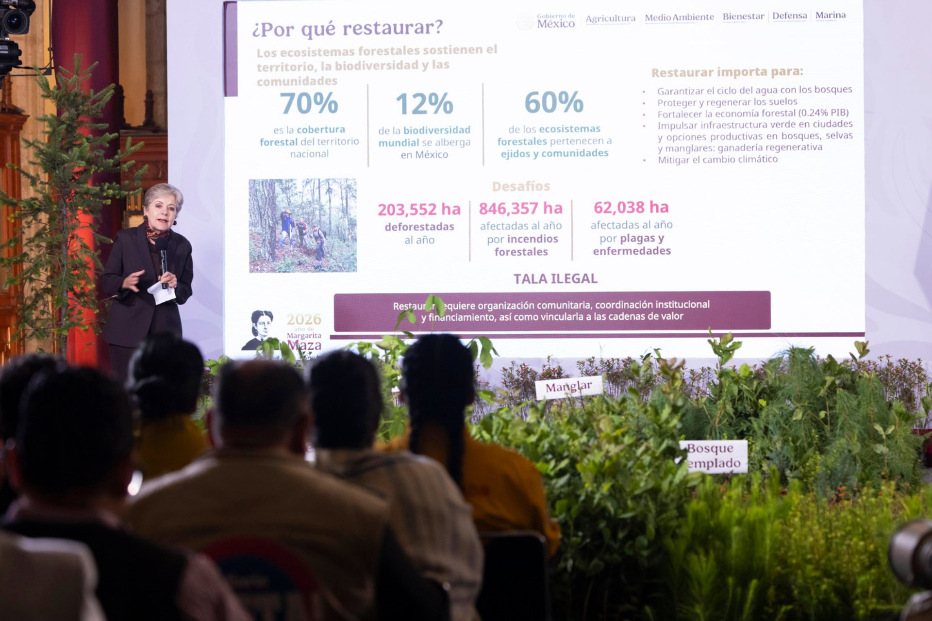 Jornada Nacional de Reforestación 2026: ¿Cuándo se realizará y en que consiste?