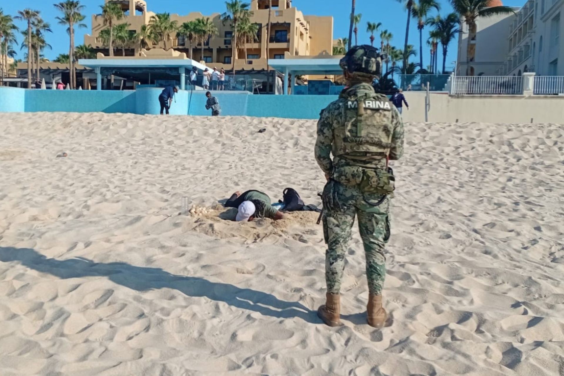 Semar y Profepa recuperan unos 10 mil huevos de tortuga golfina en BCS