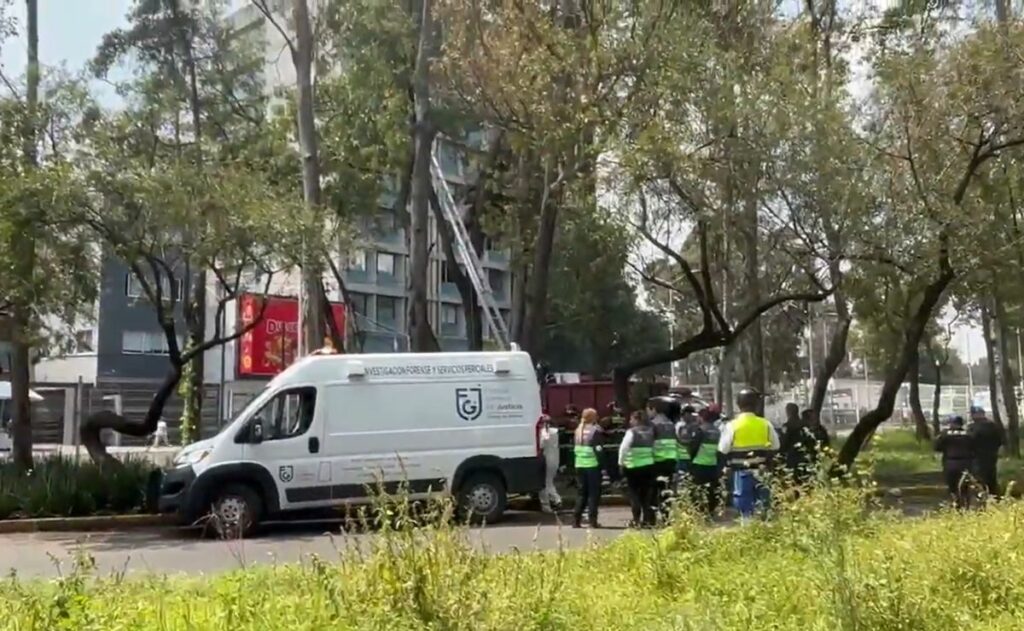 Hallan cuerpo colgado de árbol sobre Insurgentes Norte, ¿qué ocurrió?