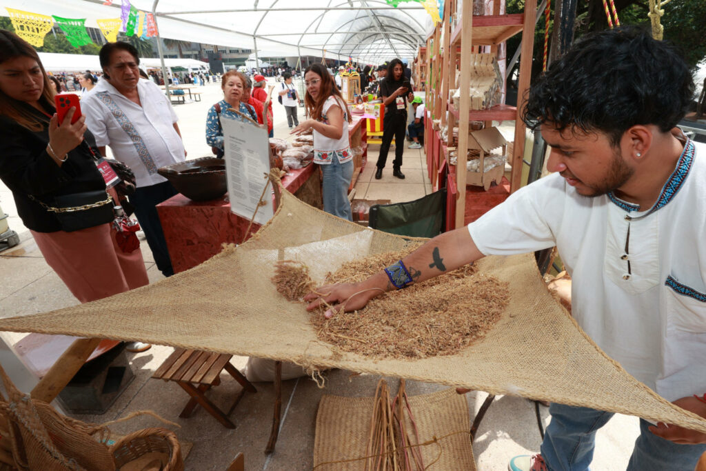 Productores de amaranto exhiben sus productos en defensa del grano ancestral - d6e9b9203d8a5d44f7562896e313de988a5d2684w-1024x683