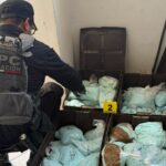 Golpe a Los Rusos en Baja California: Aseguran 120 kilos de pastillas de fentanilo