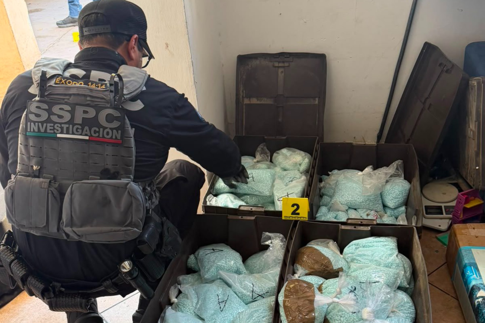 Golpe a Los Rusos en Baja California: Aseguran 120 kilos de pastillas de fentanilo