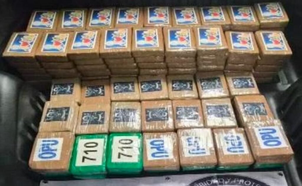 Detienen en Tlalpan a hombre con 217 kg de cocaína