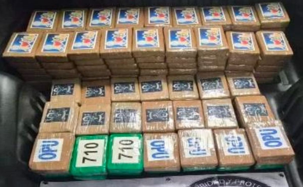 Detienen en Tlalpan a hombre con 217 kg de cocaína Detienen en Tlalpan a hombre con 217 kg de cocaína