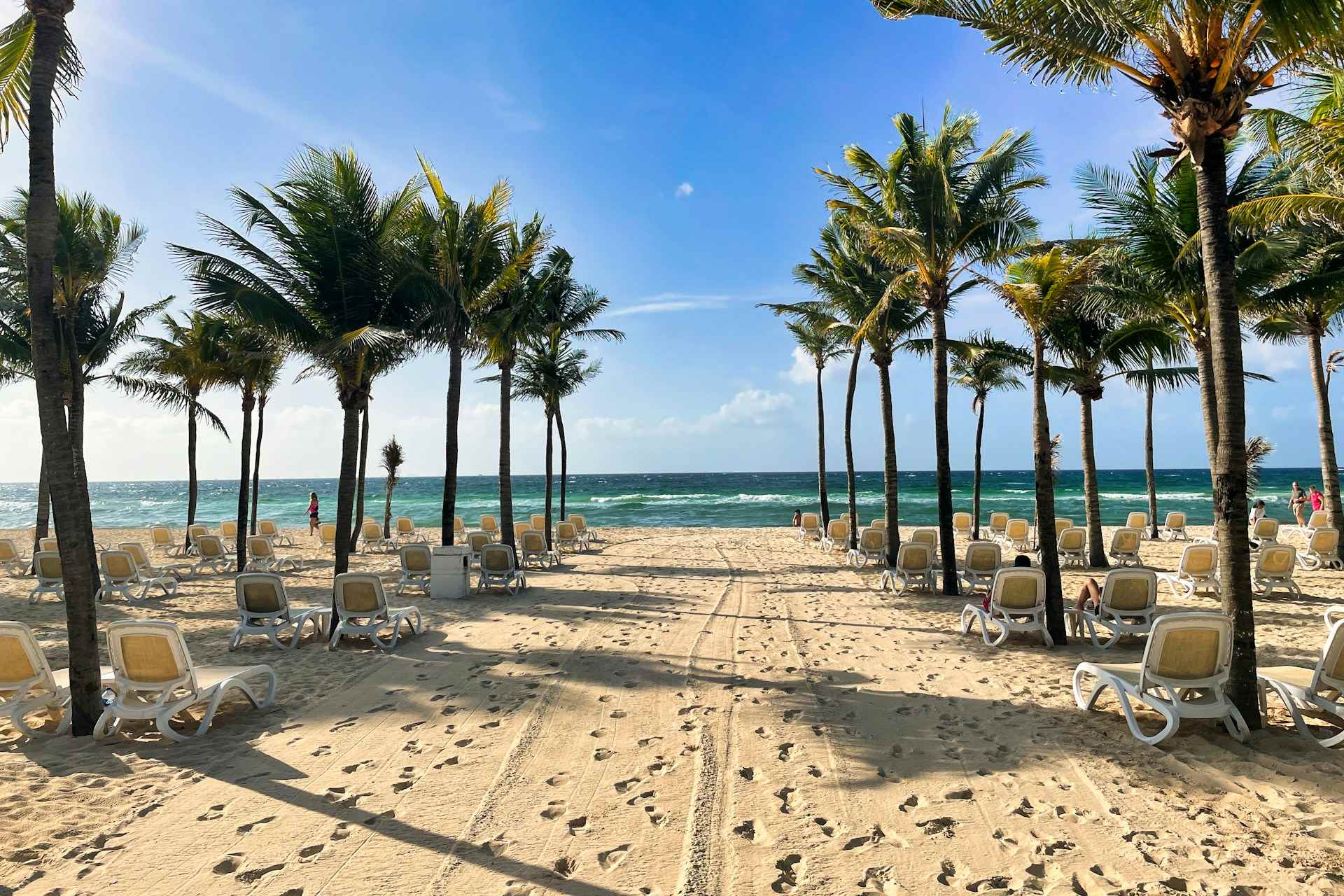 Cofepris descarta presencia del parásito ‘Cyclospora’ en 16 hoteles de la Riviera Maya