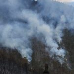 Tamaulipas suma 22 incendios forestales en lo que va de 2026