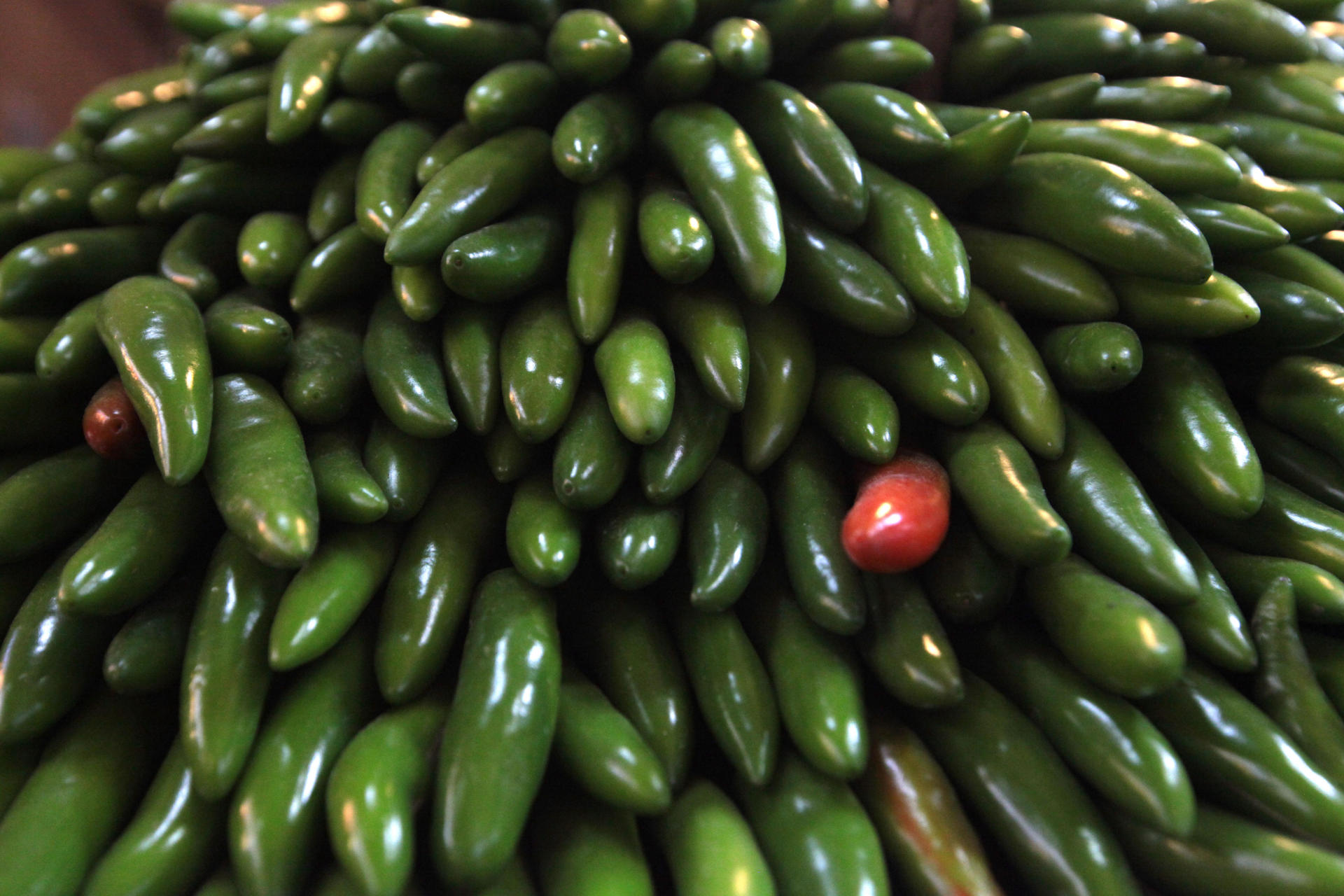 Taylor Farms retira jalapeño mexicano en EE.UU. tras brote de salmonela