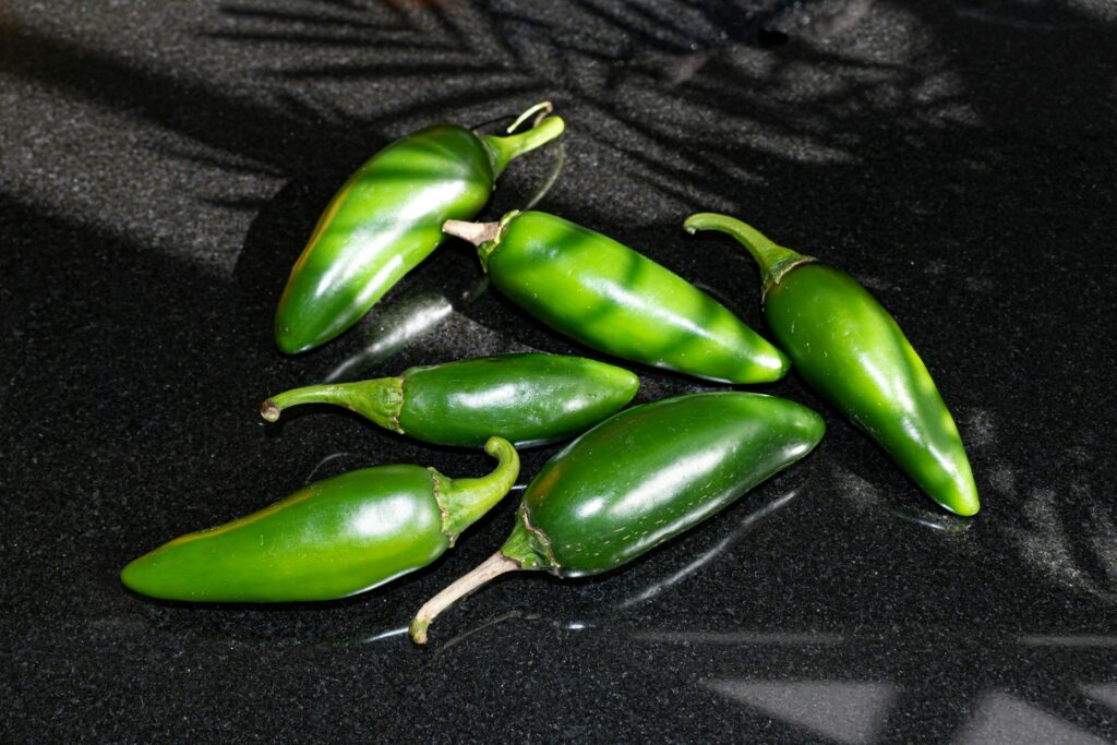 Secretaría de Salud descarta Salmonella Javiana en chiles jalapeños en Nuevo León - jalapenos-sinaloa-salmonela-eeuu-mexico-1024x683