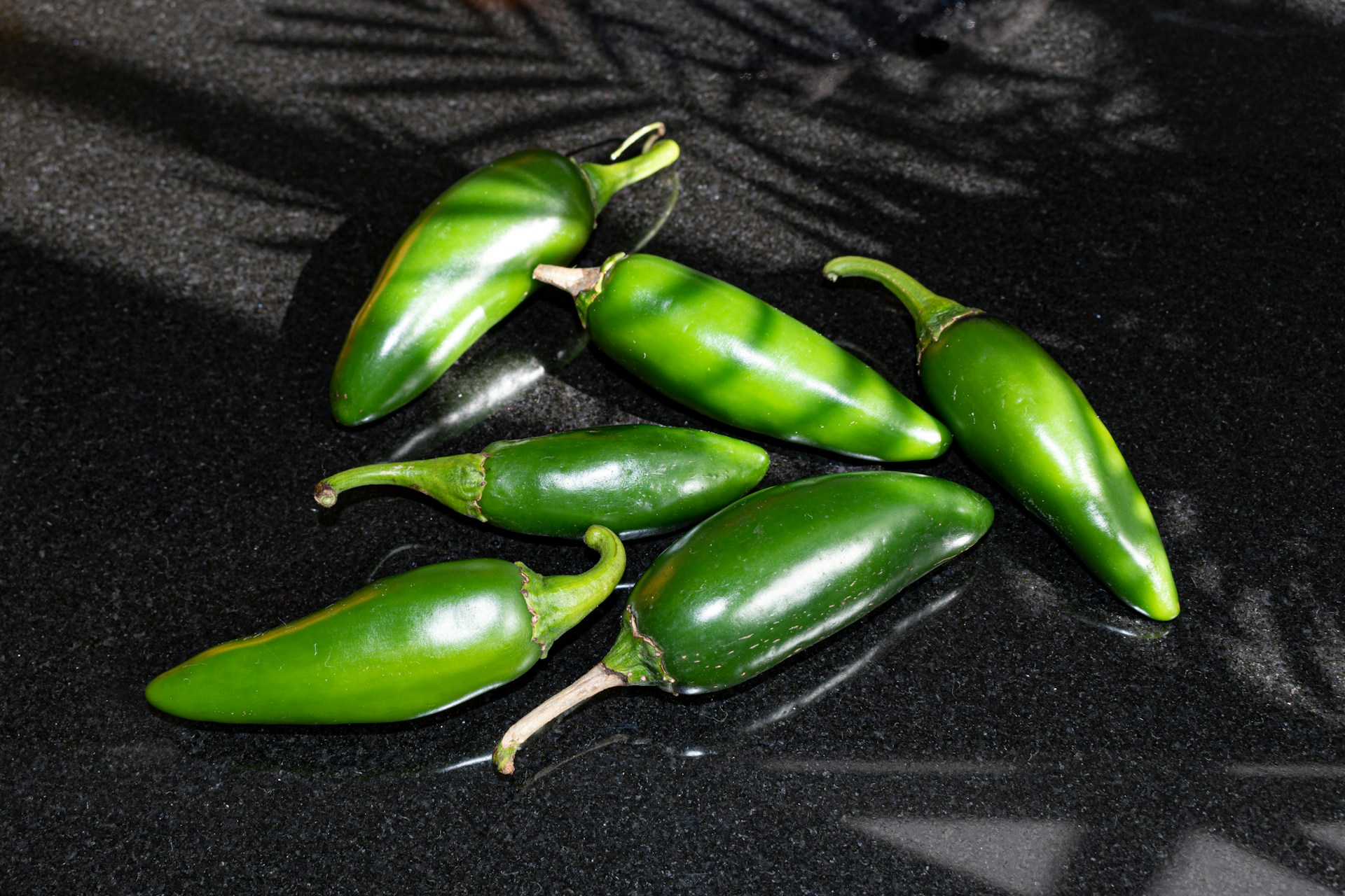 EE.UU. advierte de brote de salmonela por jalapeños procedentes de México