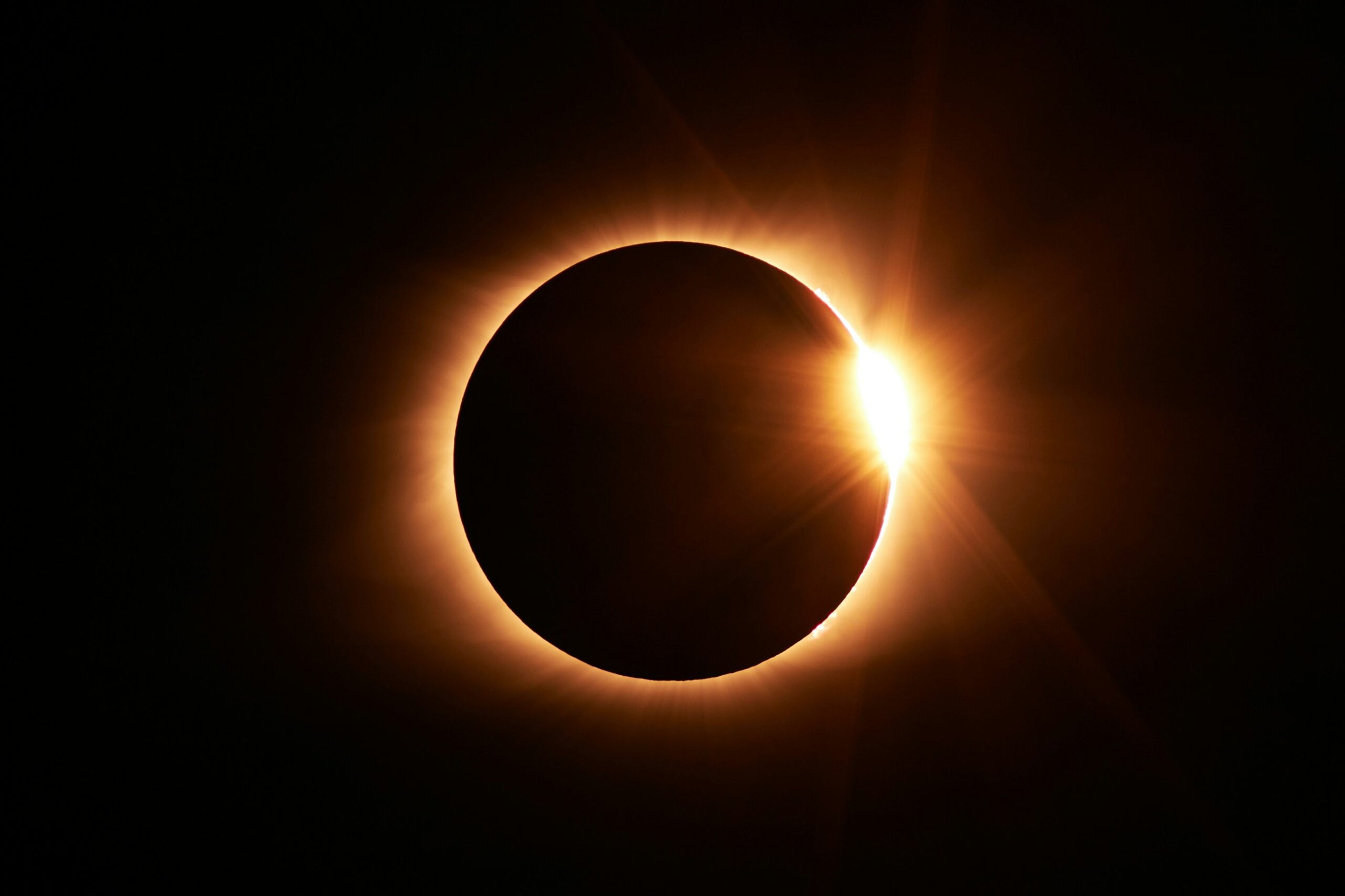 El eclipse solar en España permitirá estudiar sus efectos en plantas y animales El eclipse solar en España permitirá estudiar sus efectos en plantas y animales