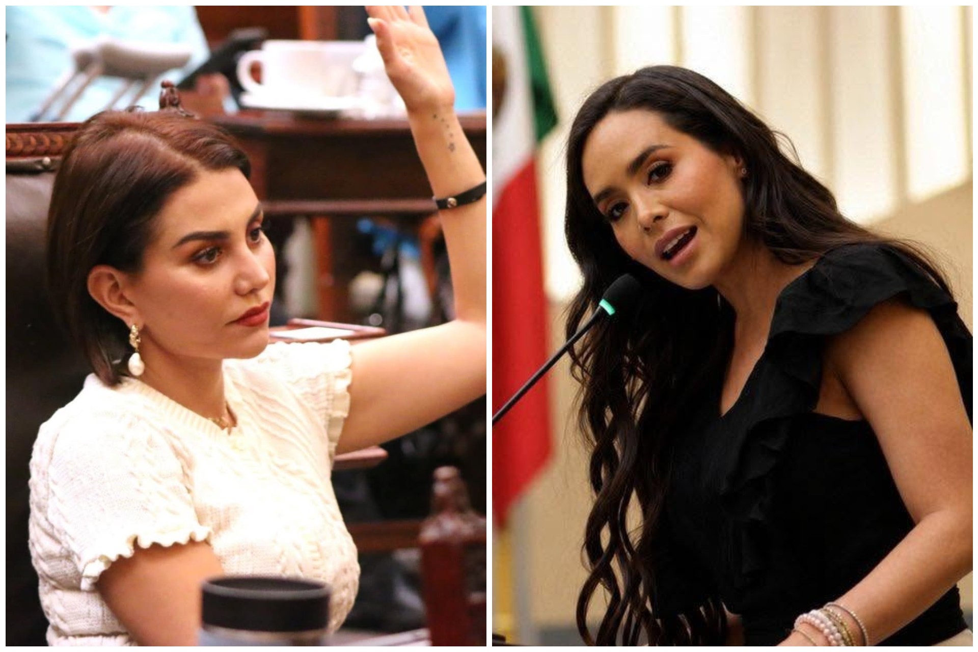 Morena suspende a legisladoras Nayeli Salvatori y ‘Grace’ Palomares tras burlas a los adultos mayores