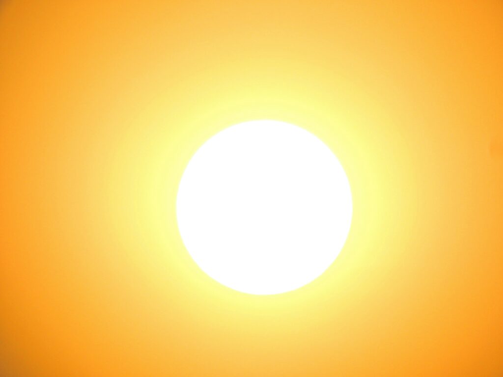 Calor extremo: la nueva normalidad del planeta Calor extremo: la nueva normalidad del planeta