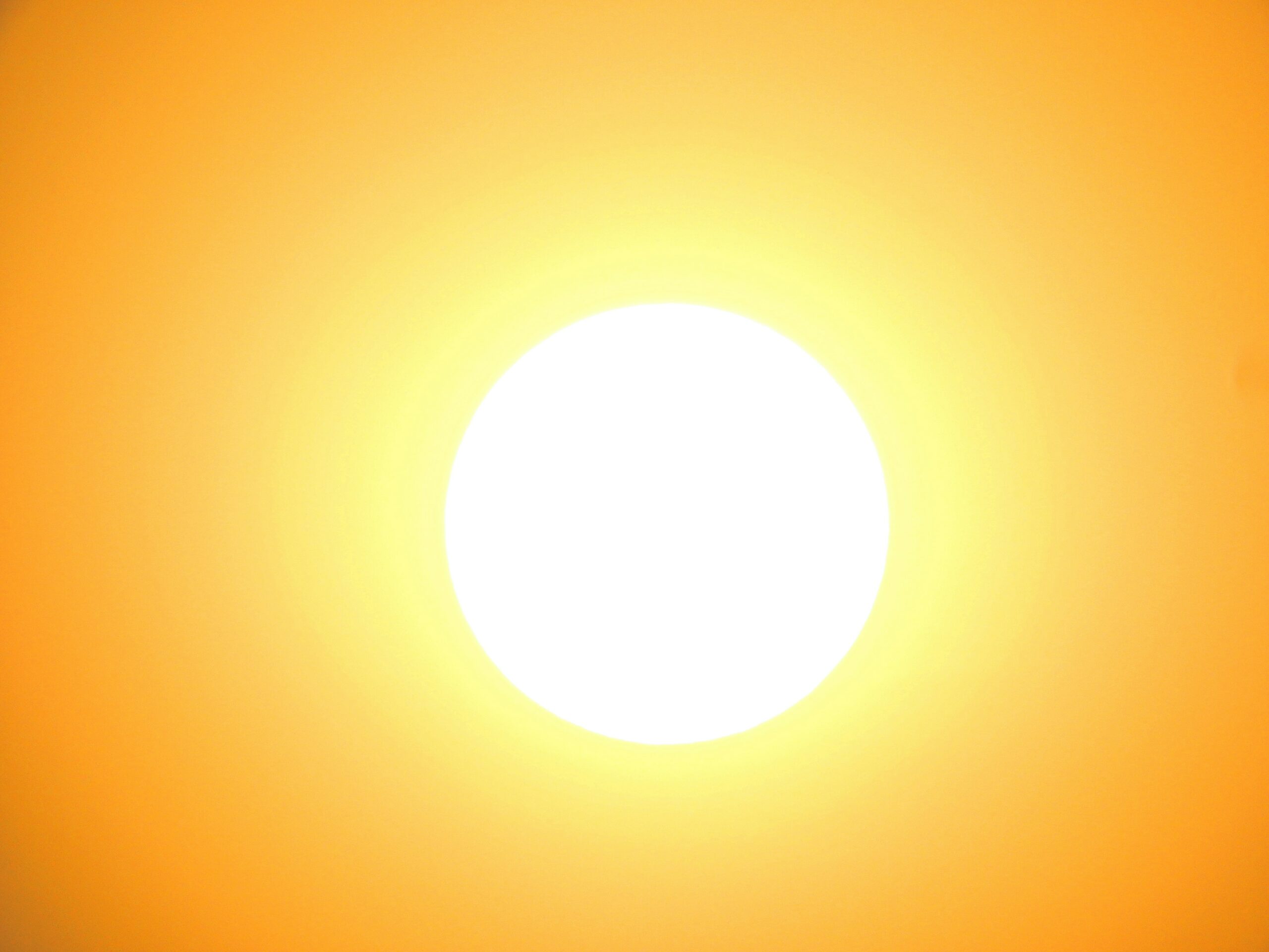 Quinta ola de calor en Francia con casi el 70 % del país con restricciones de agua