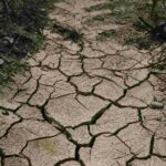Cruz Roja urge a América Latina prepararse ante un fenómeno de El Niño “histórico”