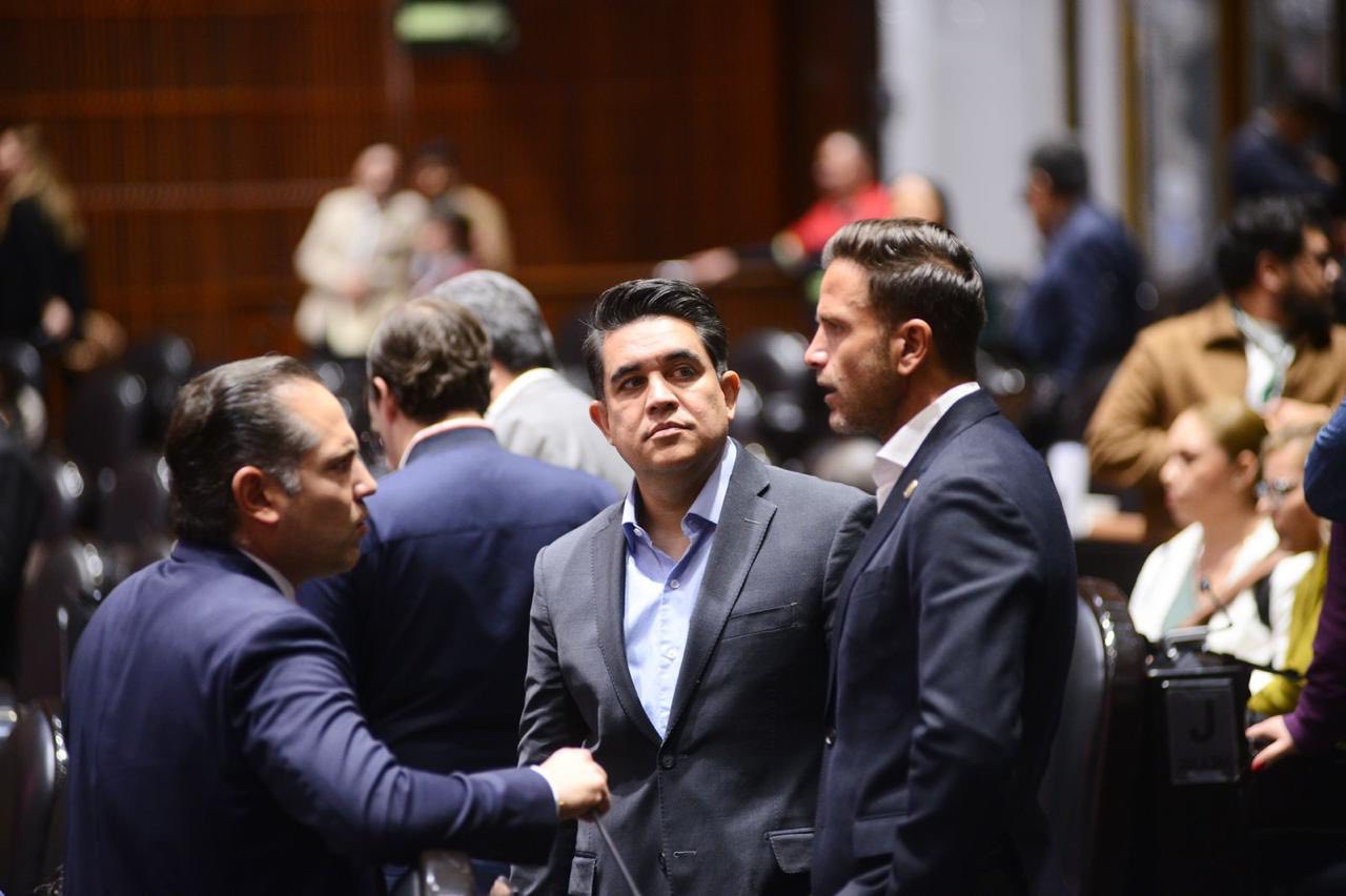 El Partido Verde destaca el respaldo de la Guardia Nacional en operativos ambientales
