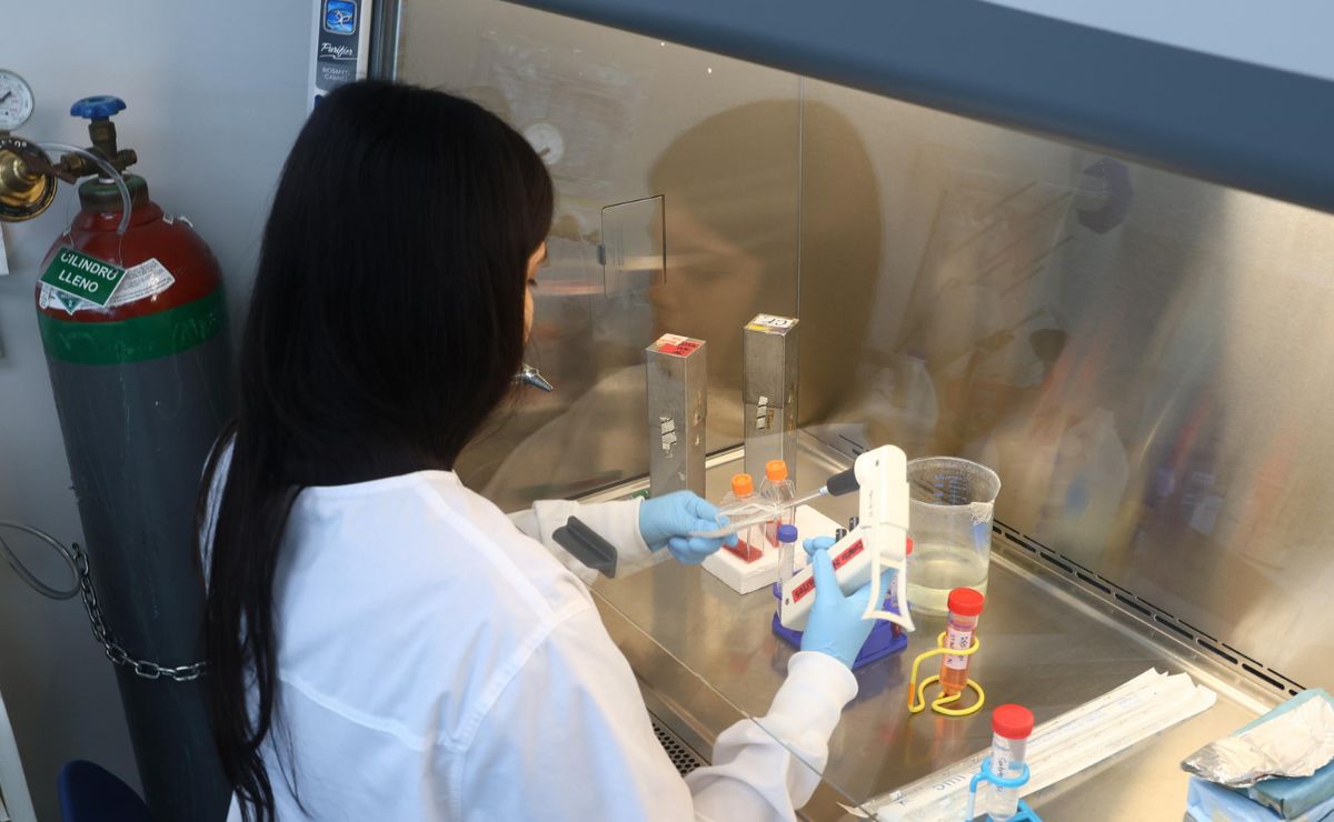 Descubren en el sargazo una prometedora respuesta contra la malaria más letal - analisis-del-sargazo