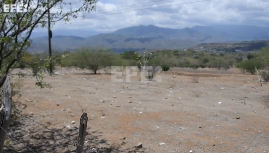 La sequía en Guatemala acaba con cultivos y obliga a campesinos a sobrevivir con lo mínimo La sequía en Guatemala acaba con cultivos y obliga a campesinos a sobrevivir con lo mínimo