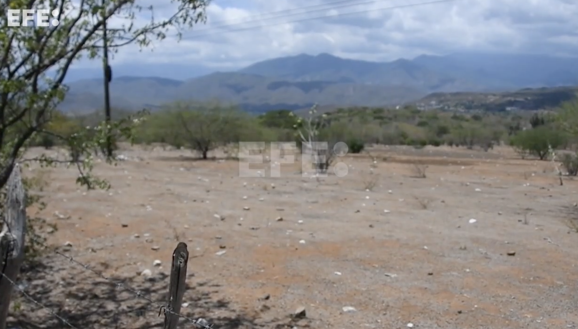 La sequía en Guatemala acaba con cultivos y obliga a campesinos a sobrevivir con lo mínimo