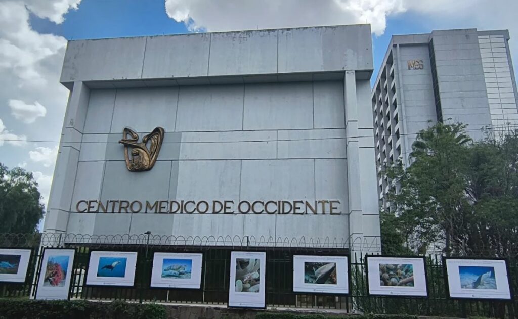 Denuncian ante FGR muerte de bebés en IMSS de Jalisco; acusan bacteria