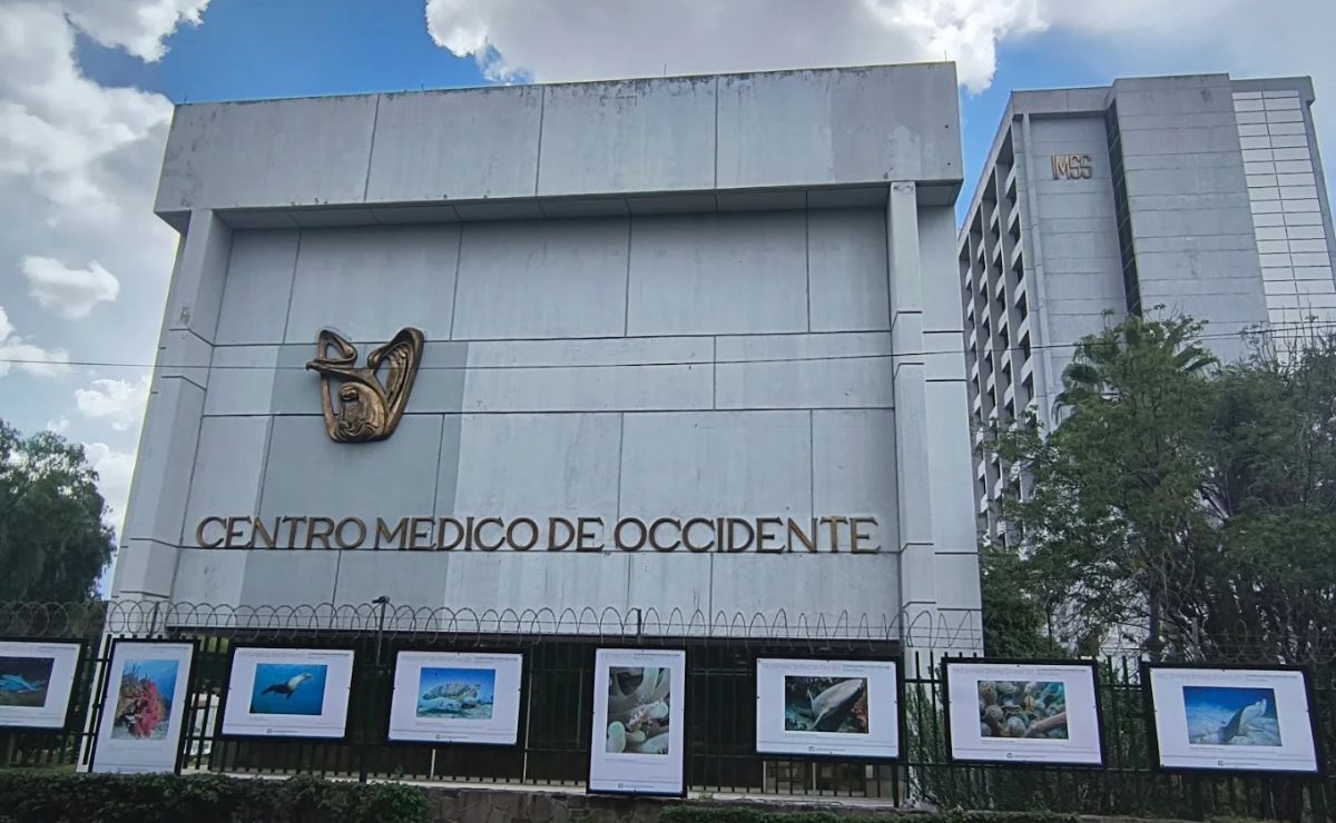 Denuncian ante FGR muerte de bebés en IMSS de Jalisco; acusan bacteria Denuncian ante FGR muerte de bebés en IMSS de Jalisco; acusan bacteria