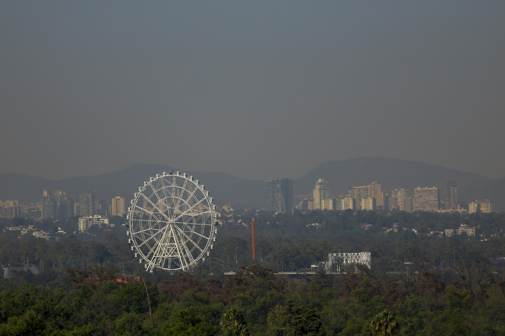 Contaminación por ozono alcanza al 40 % de la población global Contaminación por ozono alcanza al 40 % de la población global