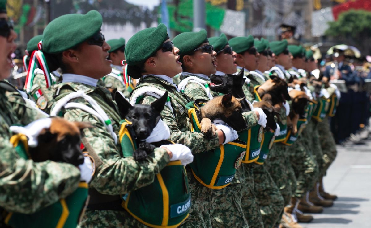 Fotos y videos: Así se vivió el desfile del 216 Aniversario de la Independencia de México - desfile-del-16-de-septiembre-2