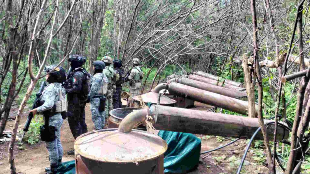 Desmantelan cuatro laboratorios clandestinos para producir drogas sintéticas en Michoacán y Guerrero