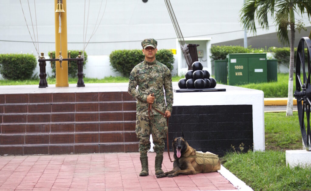 Adiós a 'Hermes': la Marina reconoce trayectoria de binomio canino en Manzanillo - hermes-binomio-canino-marina-1024x631